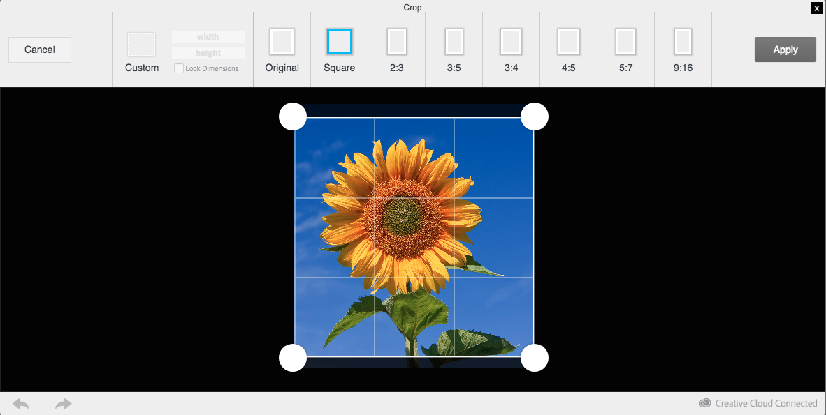 Squarespace circular images