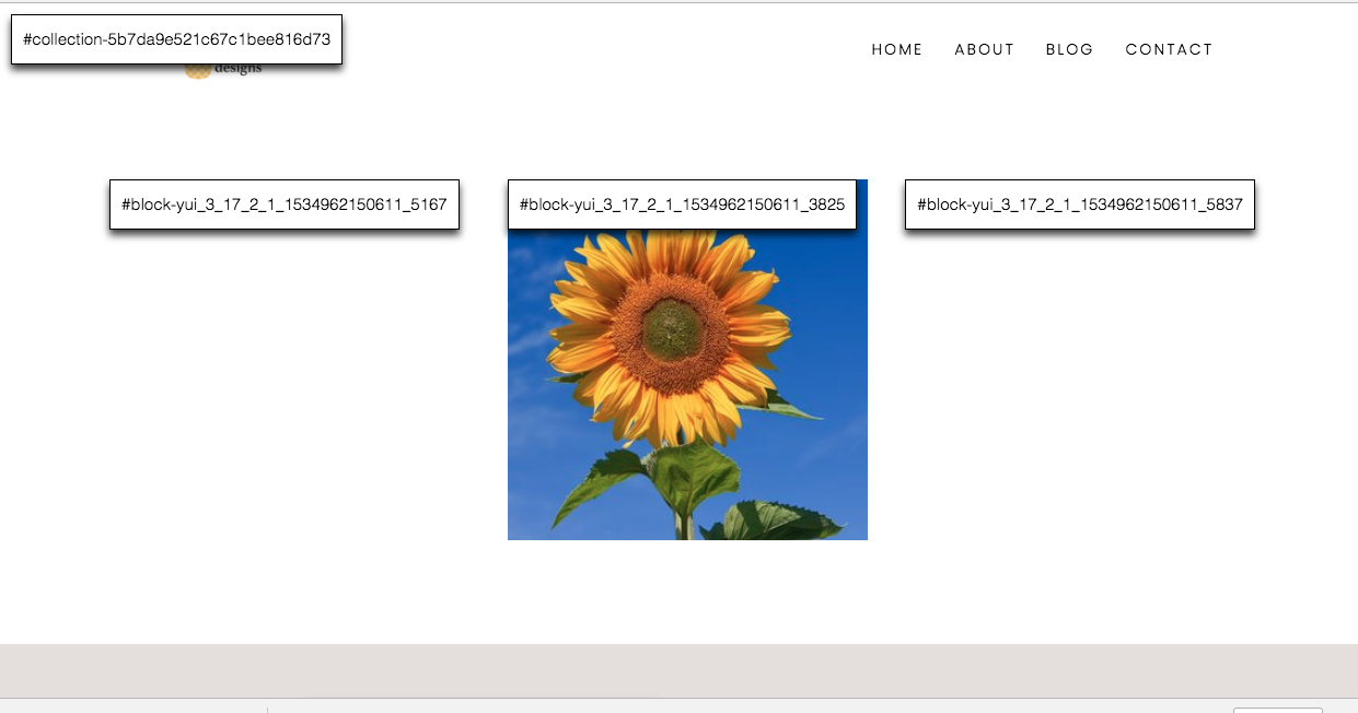 Squarespace circular images