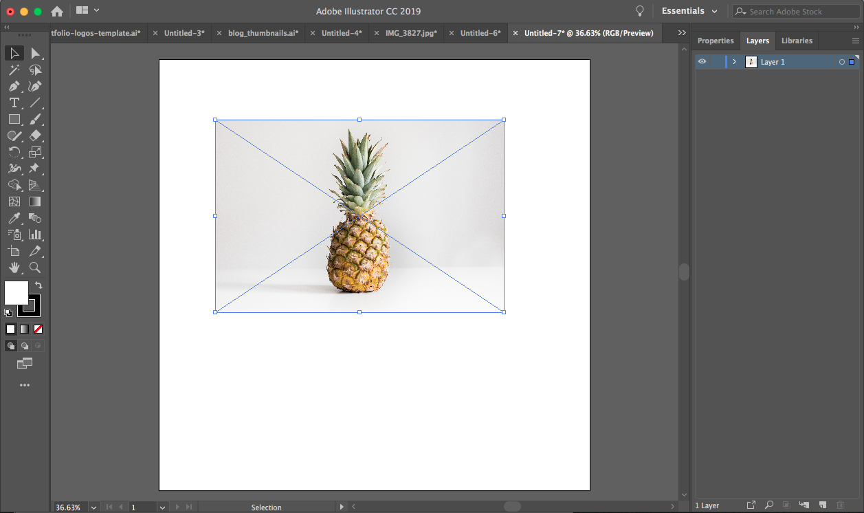 Lauren Aloia Designs Squarespace Web Designer How To Edit A Jpeg Image Using Adobe Illustrator
