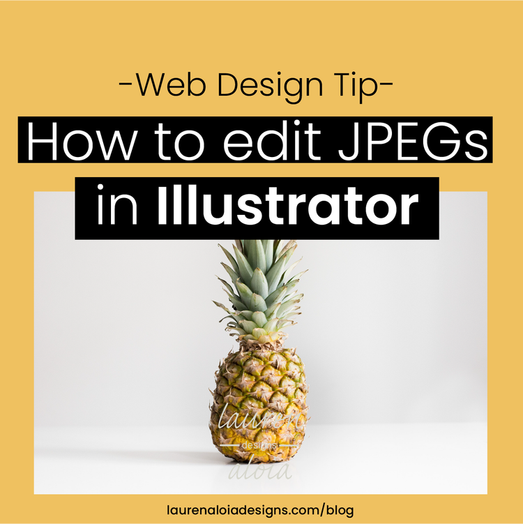 Lauren Aloia Designs Squarespace Web Designer How To Edit A Jpeg Image Using Adobe Illustrator