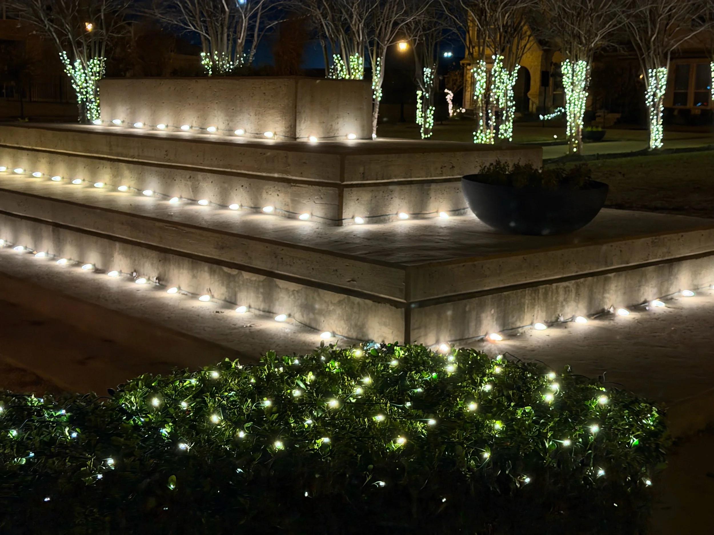 Hoa Christmas lights