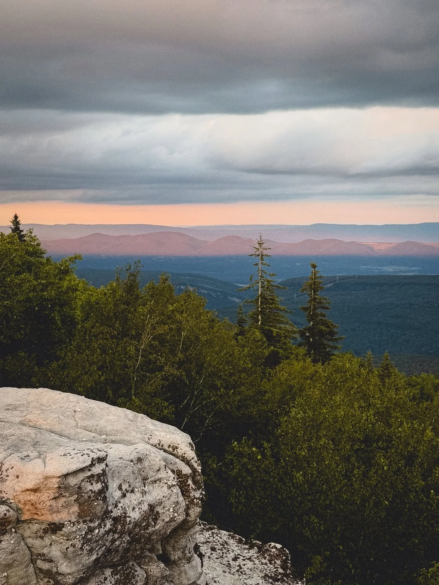Dolly Sods Wilderness, WV