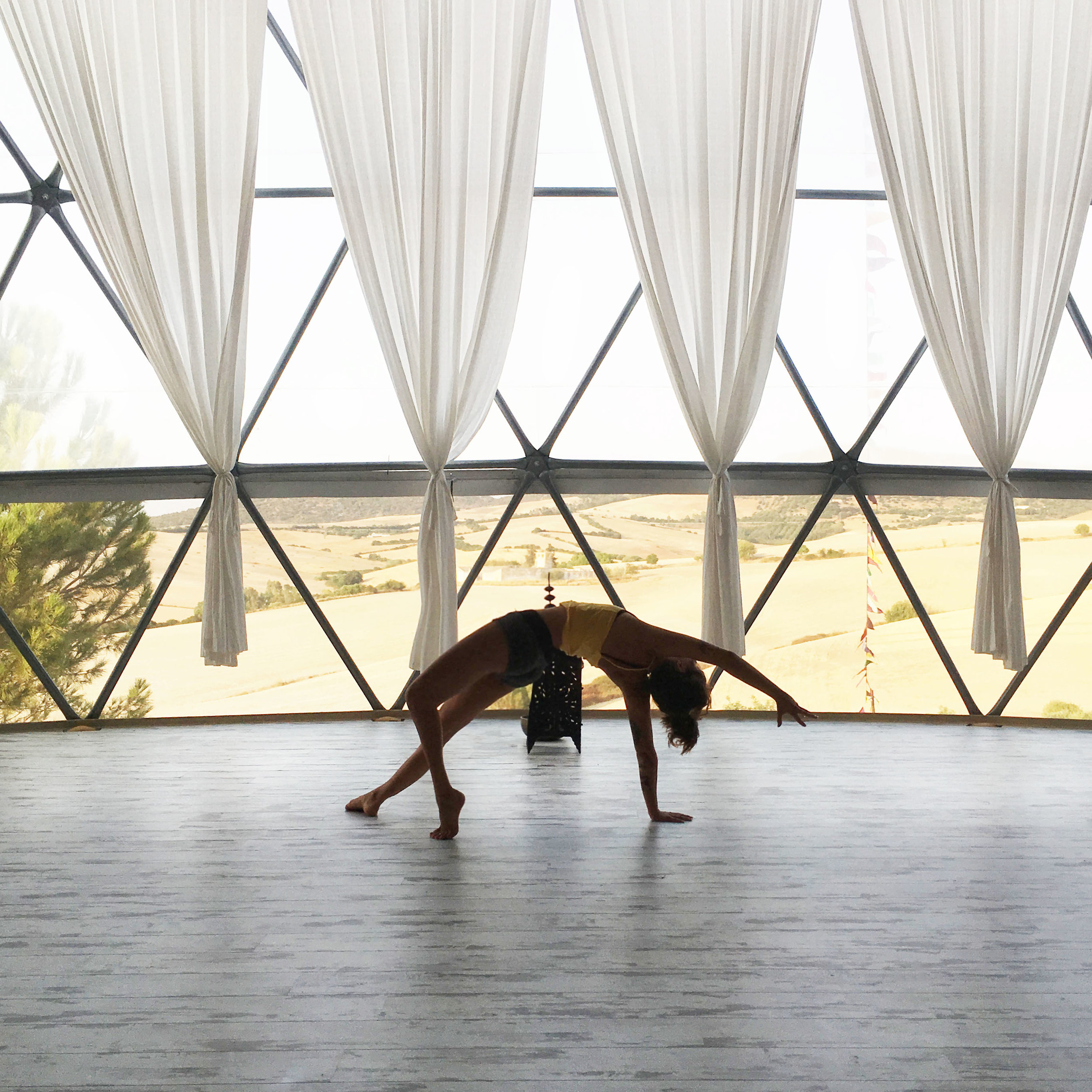 Dijana.camatkarasana.jpg