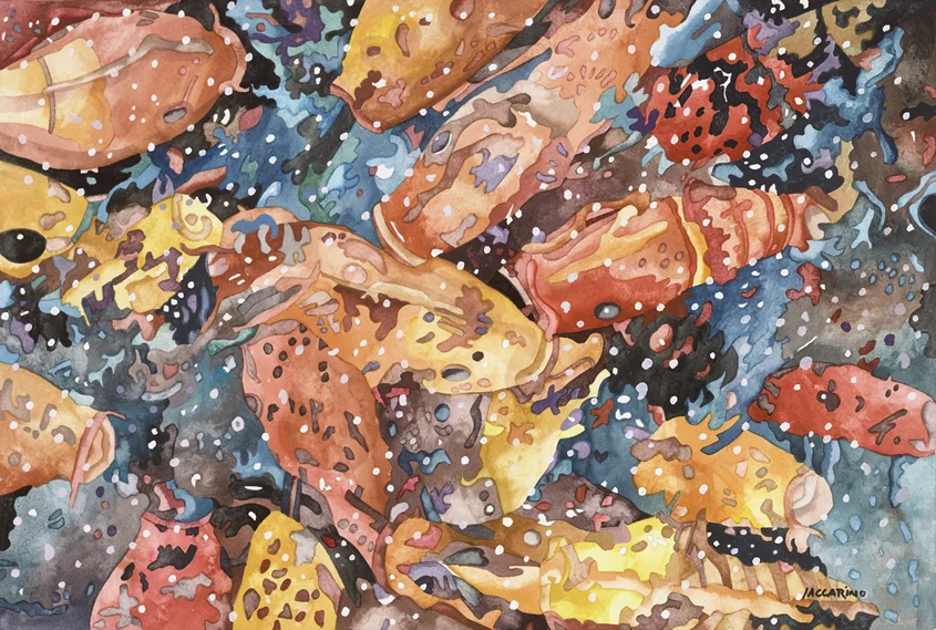 Acuaic_Rush_Hour__Koi_Dance_1_2.jpg