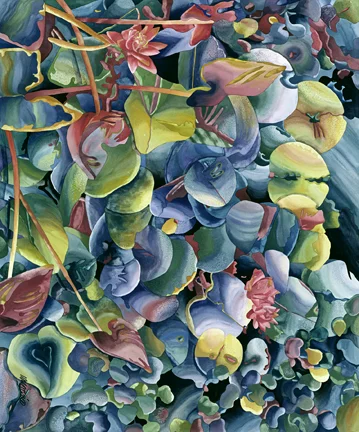 BOYD_S_LILLIES.jpg