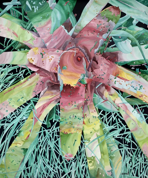 R-Hall_LindasBromiliad35x42.jpg