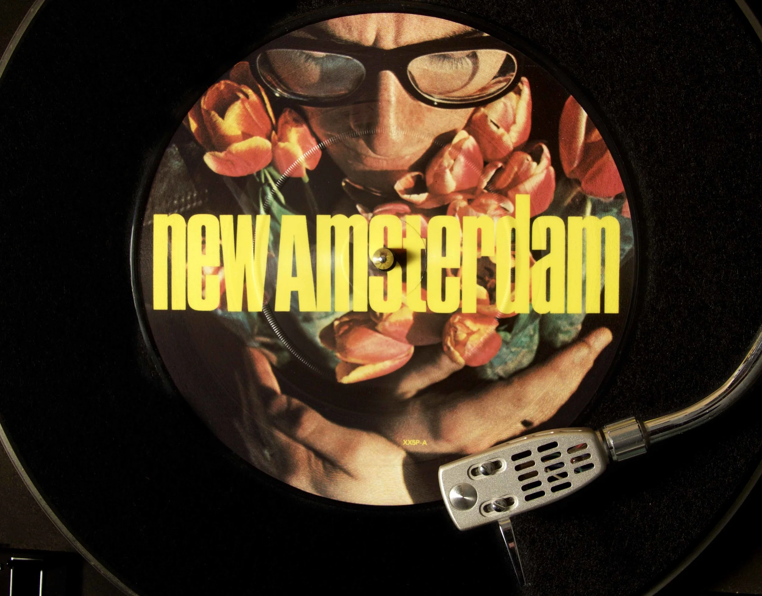 Elvis Costello, New Amsterdam