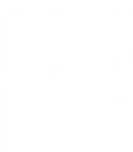 White-Block-Filler-For-DFSCMH-Website-Gallery-Image-262x300.jpg