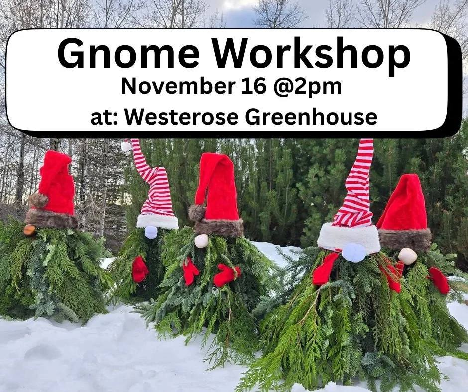 Gnome Workshop.jpg