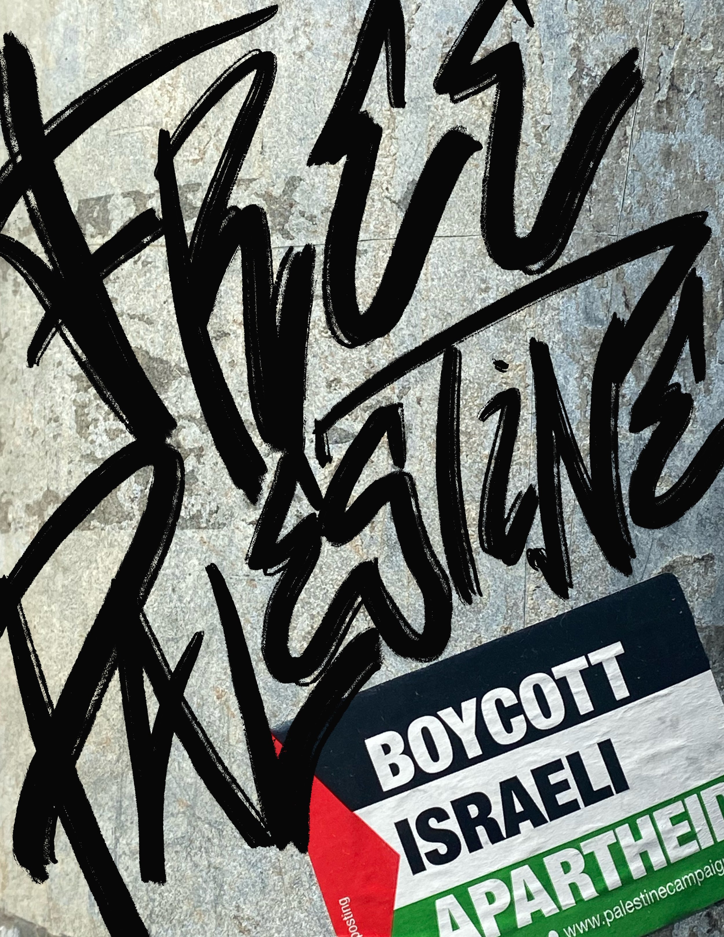Issue Nº 22 II Free Palestine 