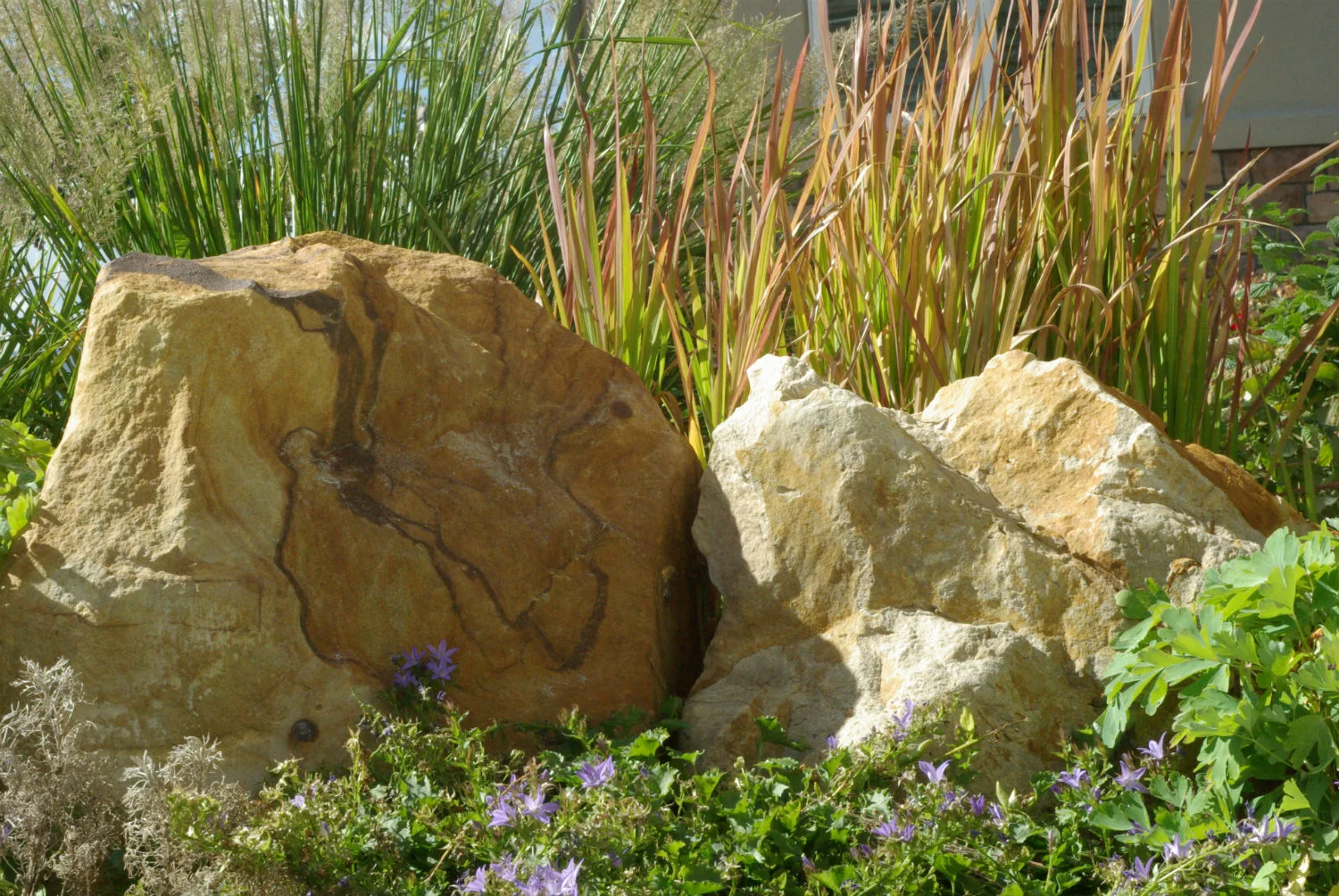 Boulder-grass1.jpg