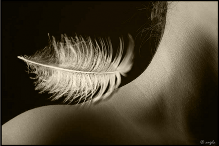 Sensuality Is Not Linear