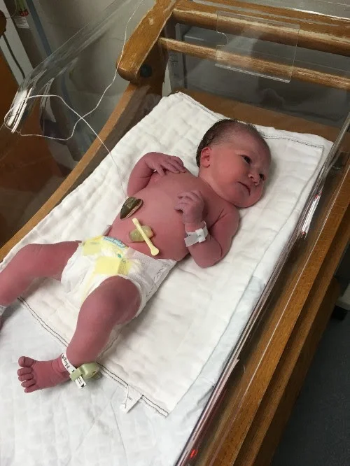 Harper Ann.jpg