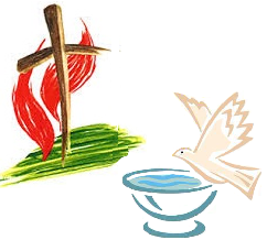Bapstim Bird Bowl.png