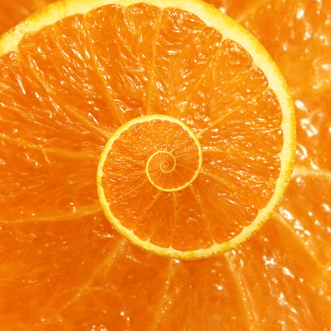 color- Orange.gif
