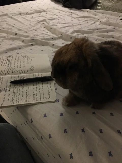 Welcome Maria Palafox, Human Genetics Graduate Student! 