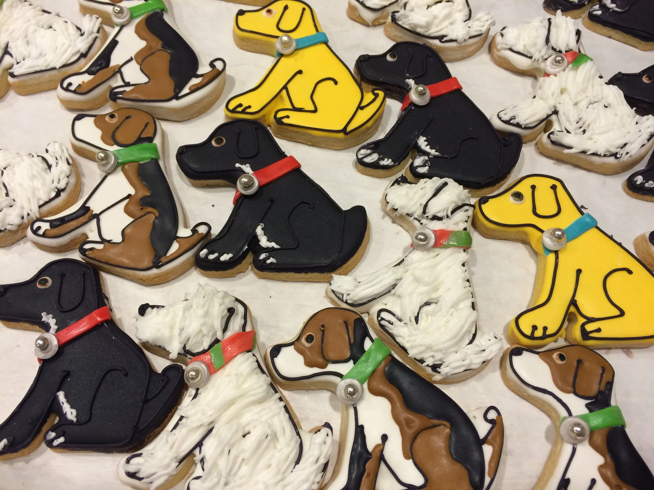 Asst Dogs on Tray.JPG