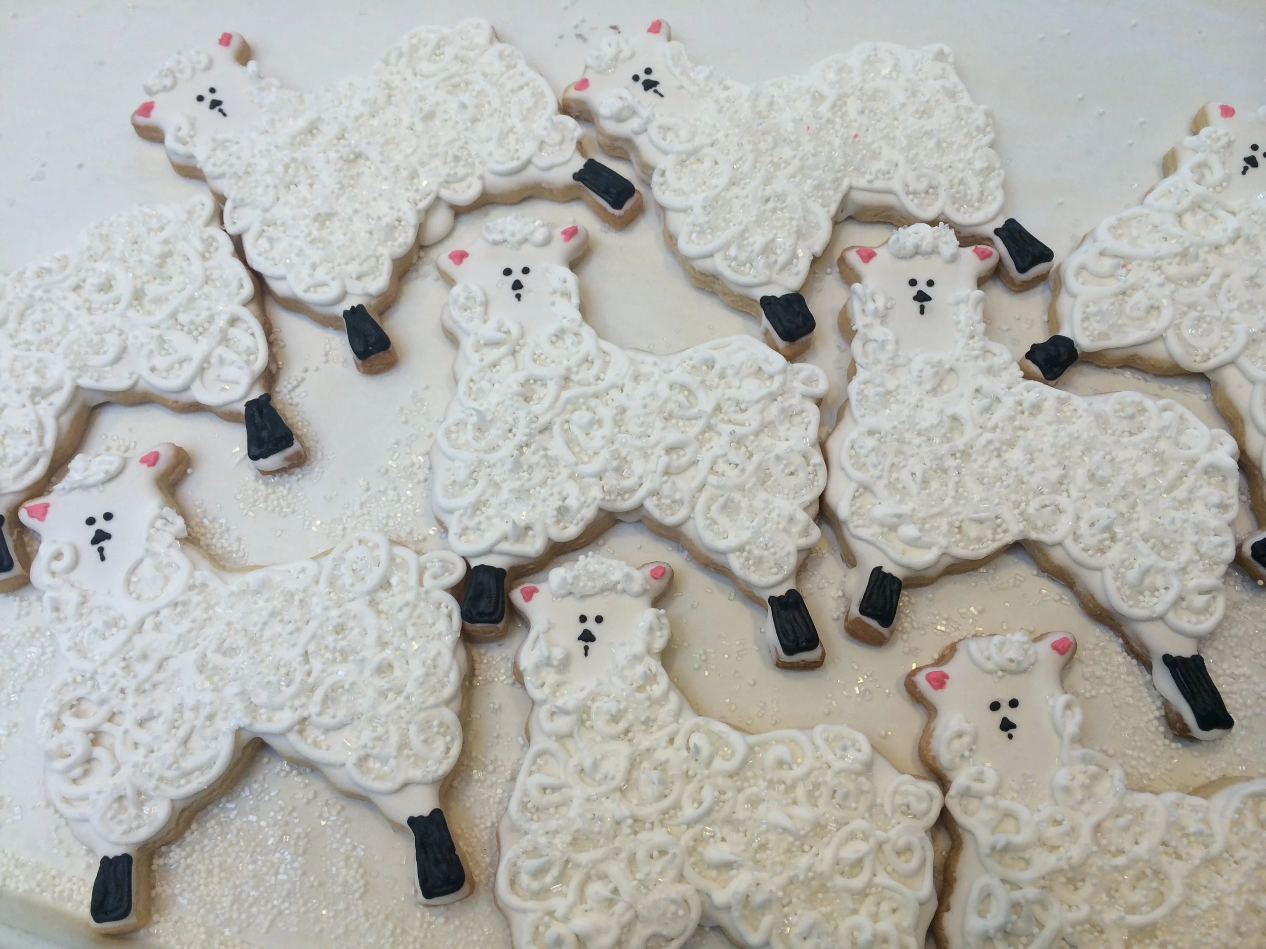 sheep cookies.JPG