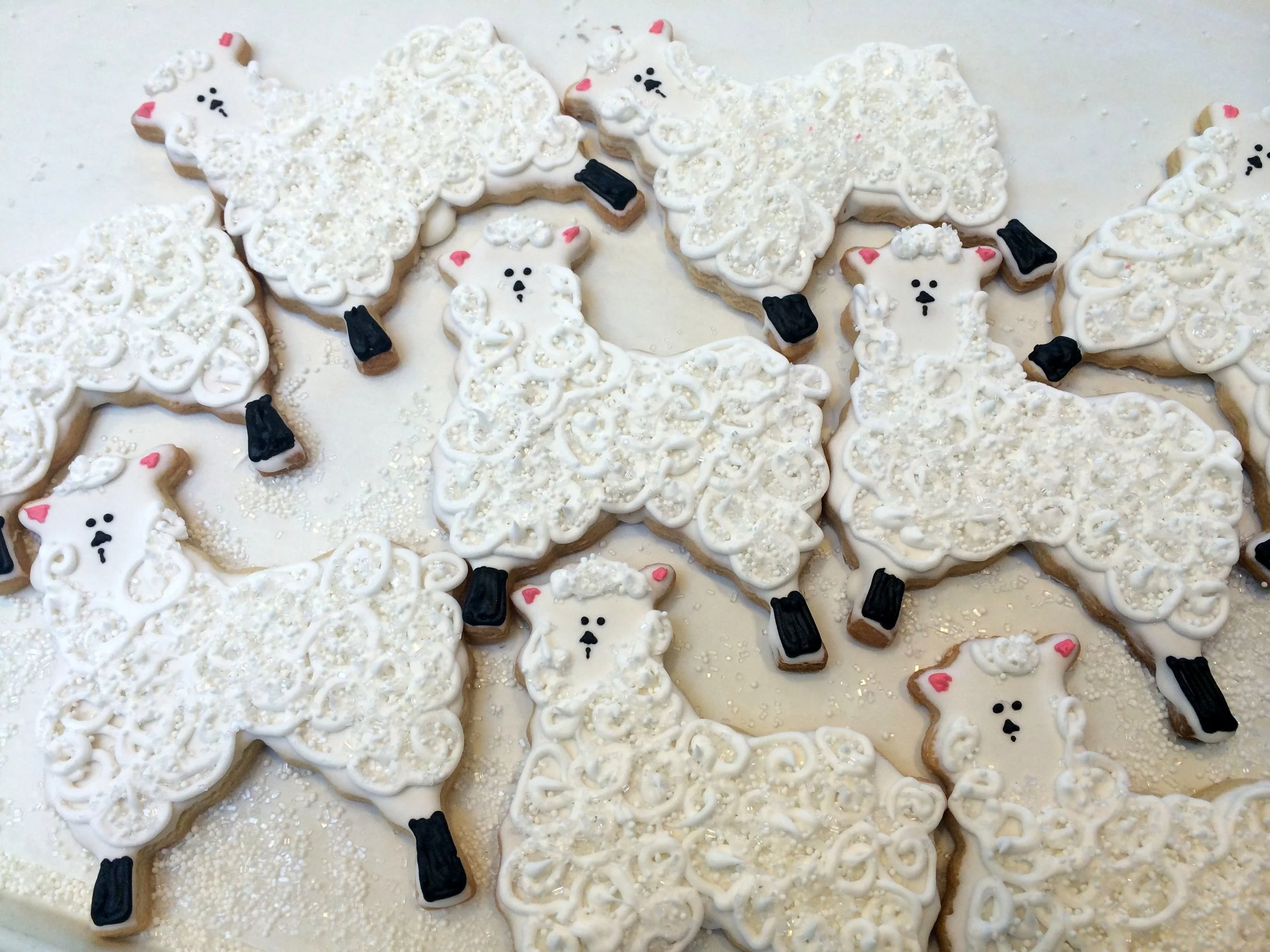 sheep cookies[1].JPG