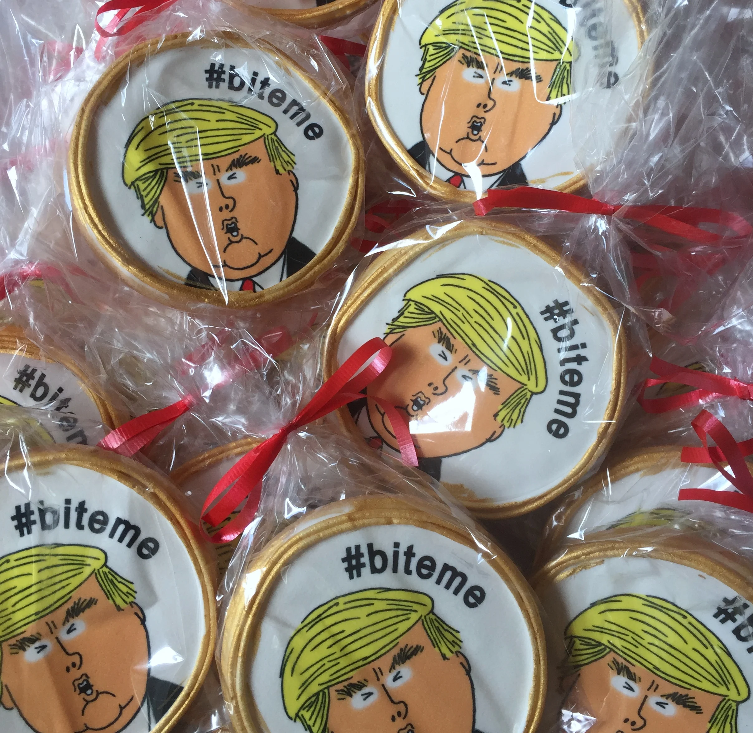 trump bagged.jpeg