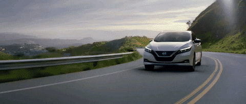 giphy-2.gif