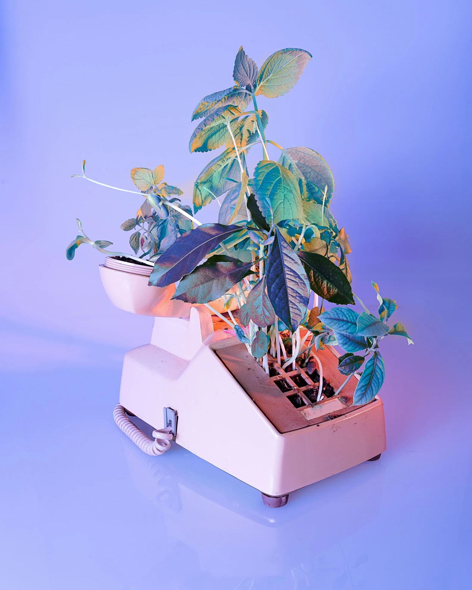 Documentation for Nathaniel Stern's project The World After Us by N