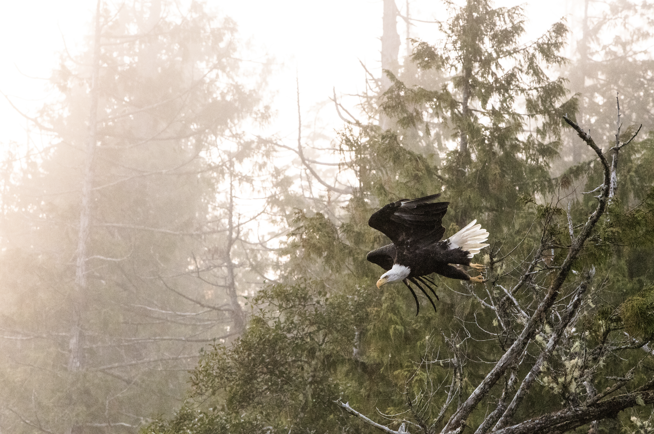 Screen Shot 2021-11-24 at 2.23.57 PM.png