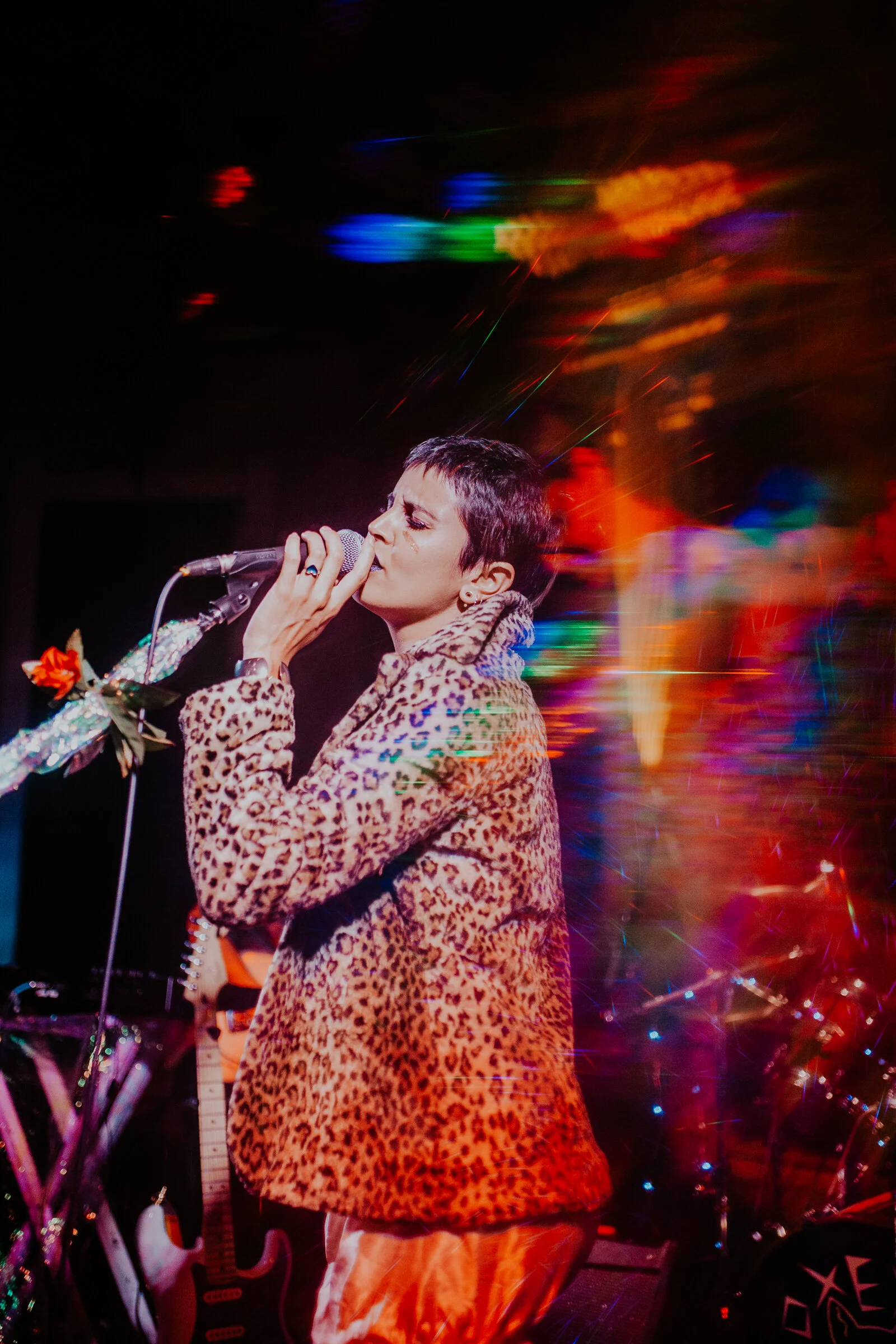 Denver Concert Photographer