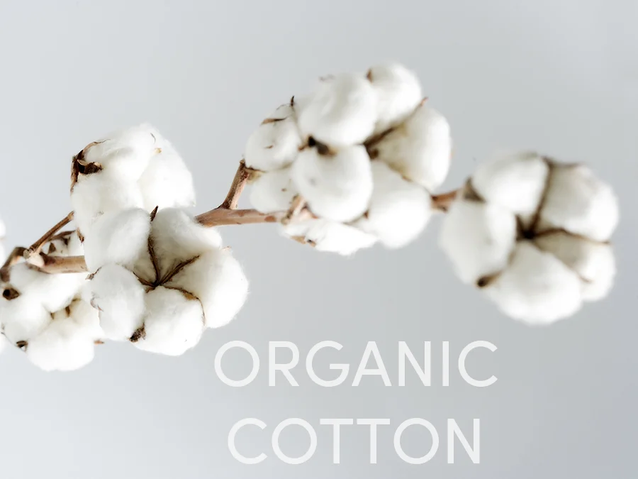 cotton.jpeg horiz WRITE.jpg