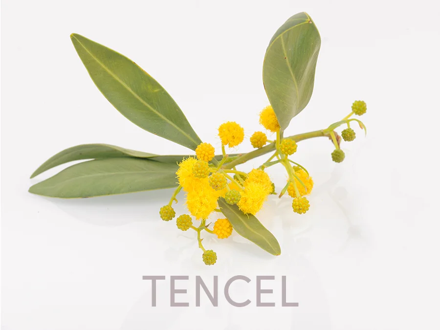 TENCEL.WEB.PIC.jpg