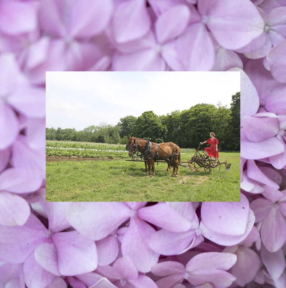 IMG_2318.landing.page.redo.SITE copy.jpg