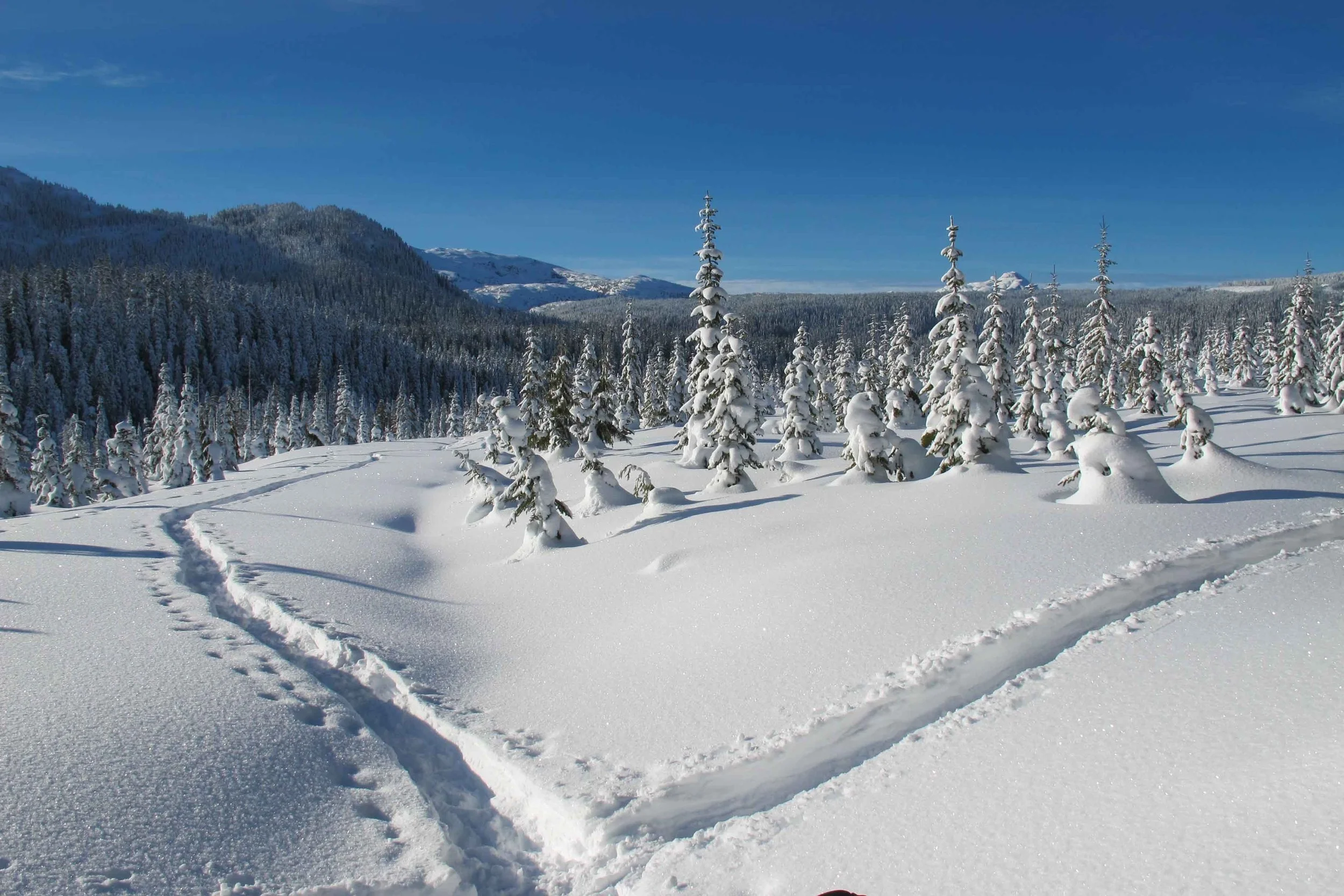 Mt. Washington.jpg