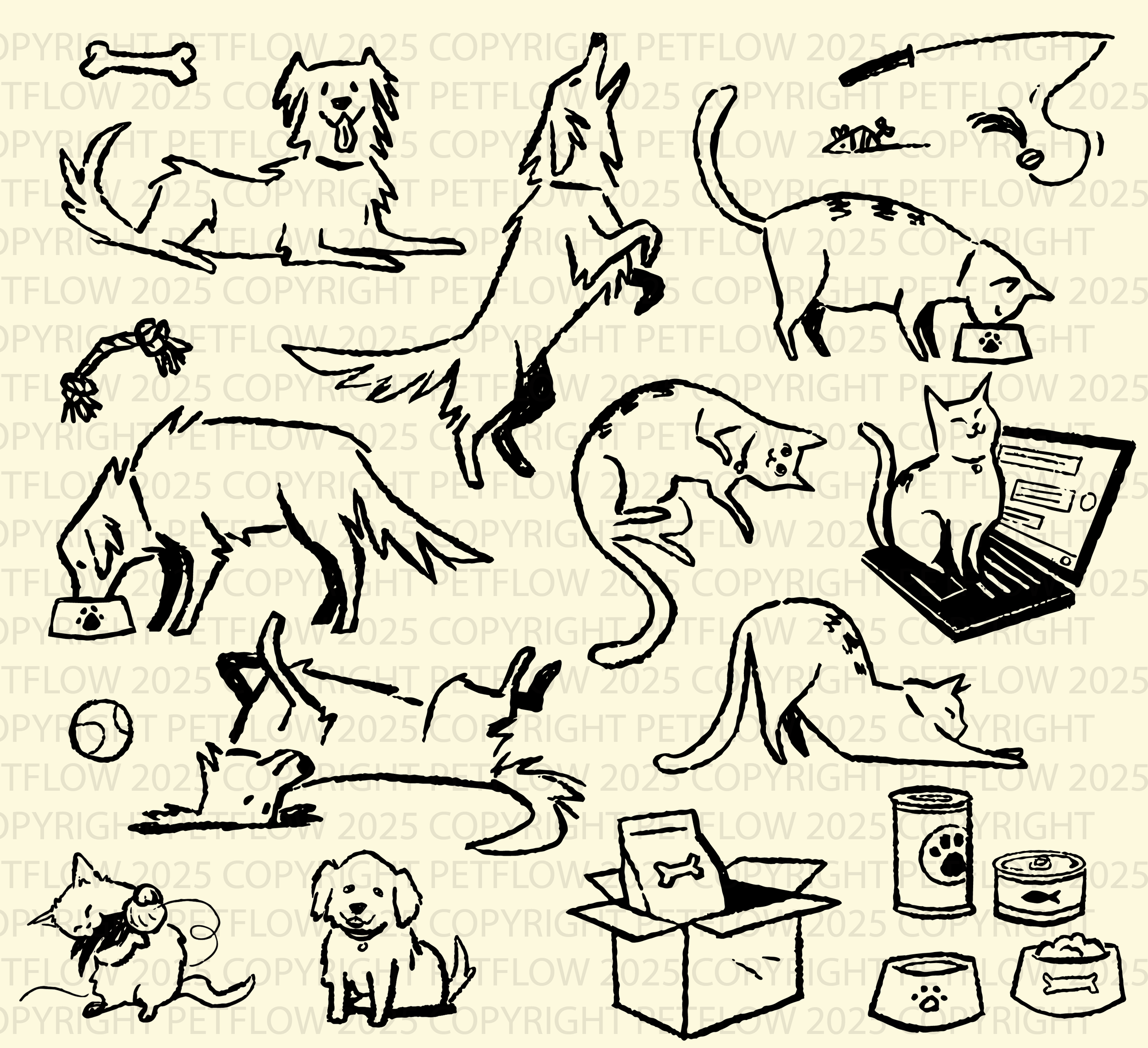 SITE_MOCKUP_ILLO-01.png