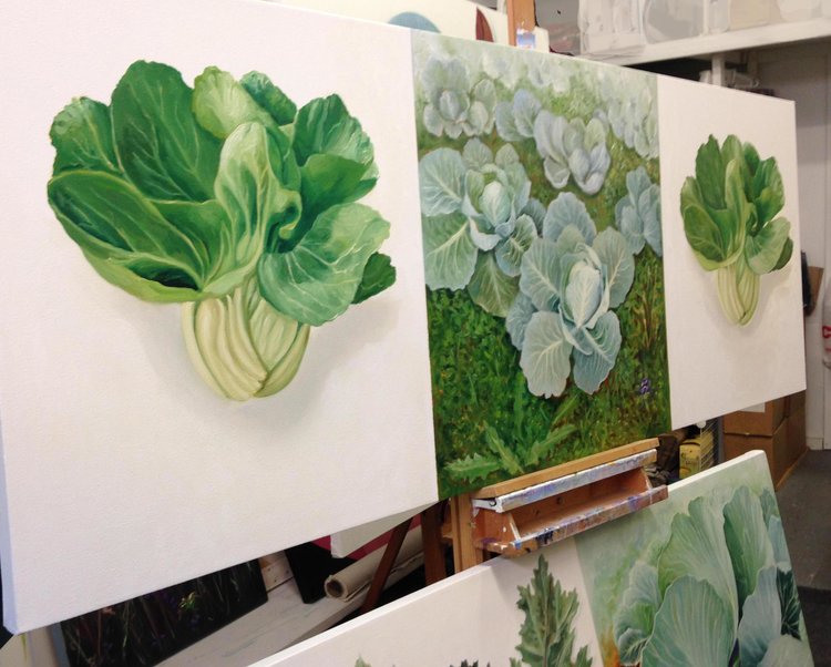 Floating+Bok+Choy+&+Cabbage+Patch.jpg
