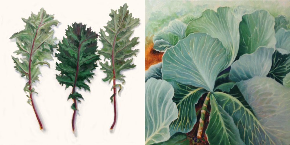 Kale+&+Cabbage+Patch+copy.jpg