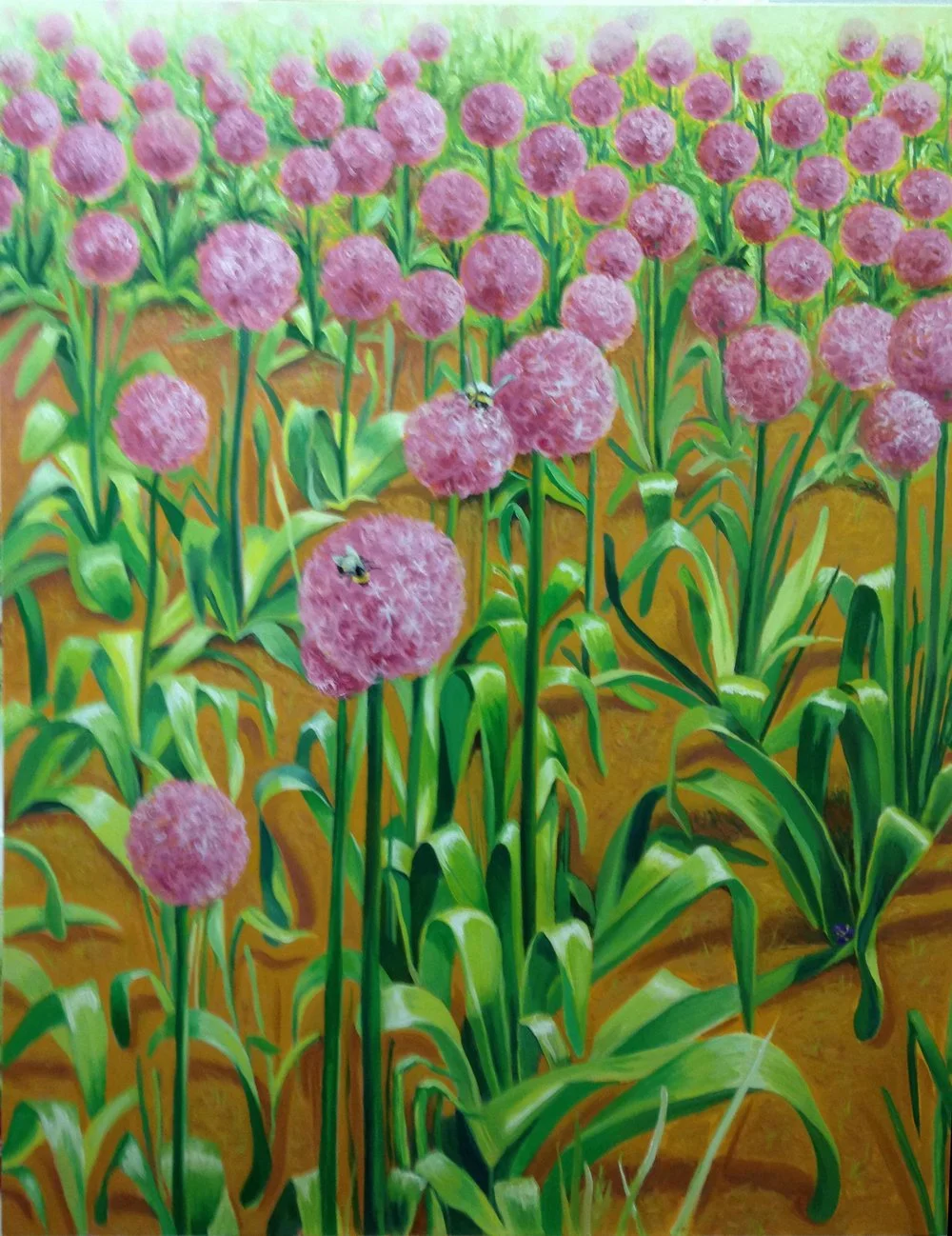 allium_garden_at_camcast+copy.jpg
