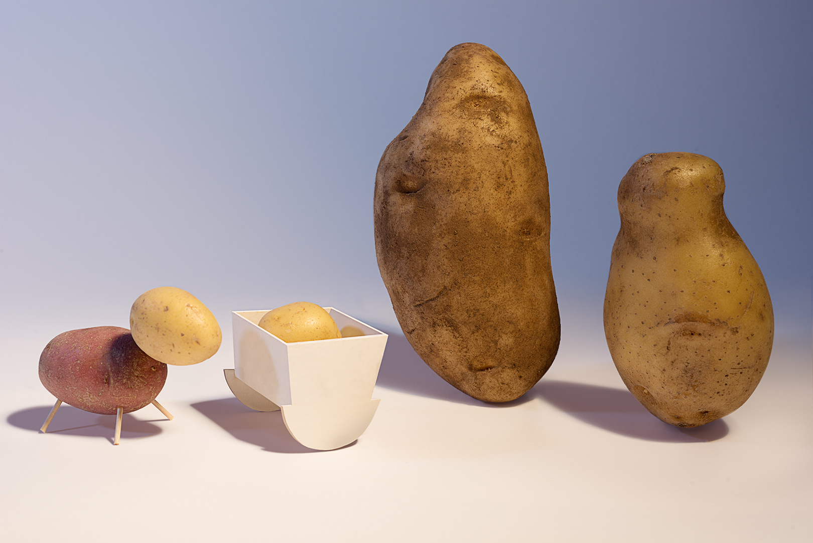 potato_family.jpg