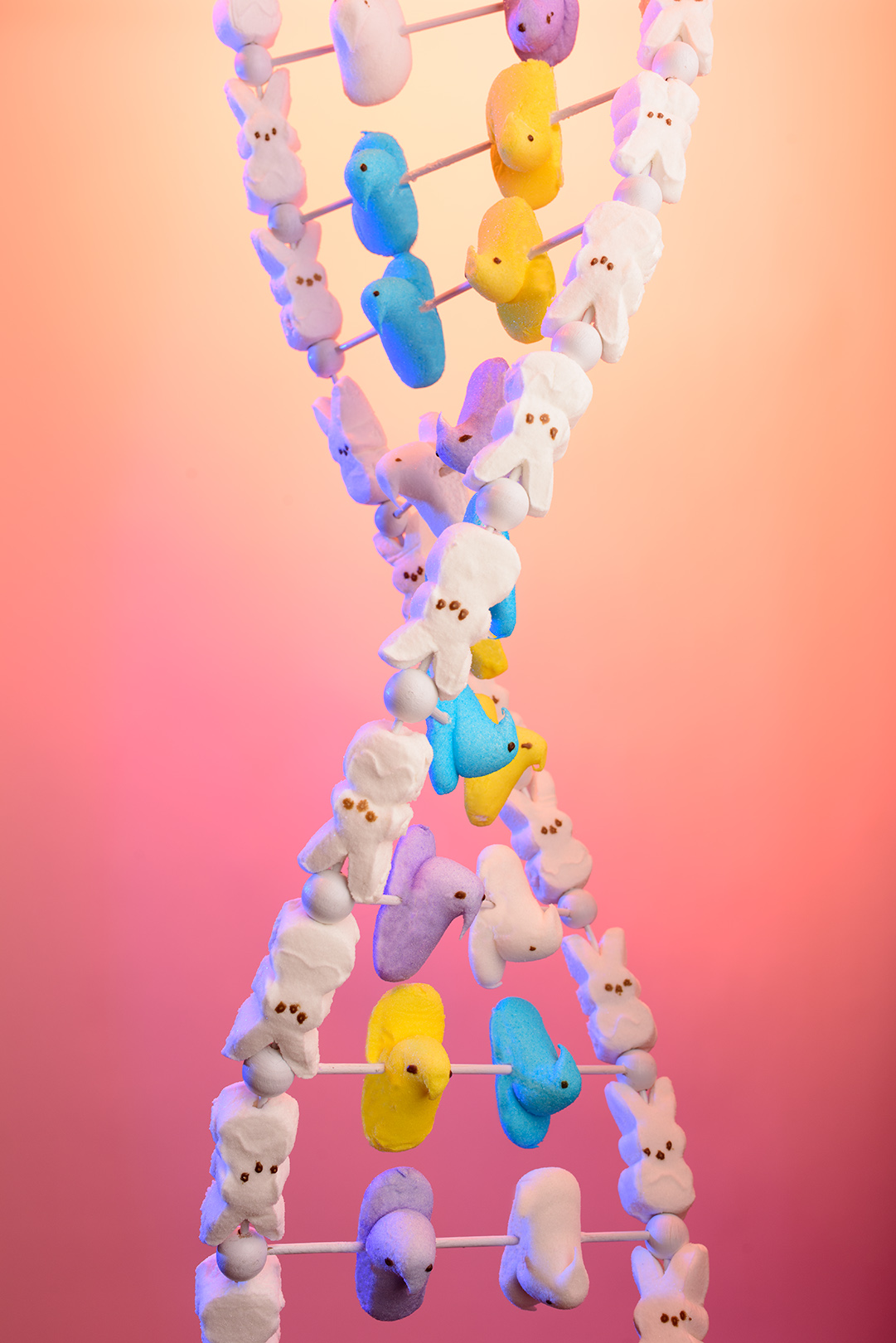 PEEPS_DNA.jpg