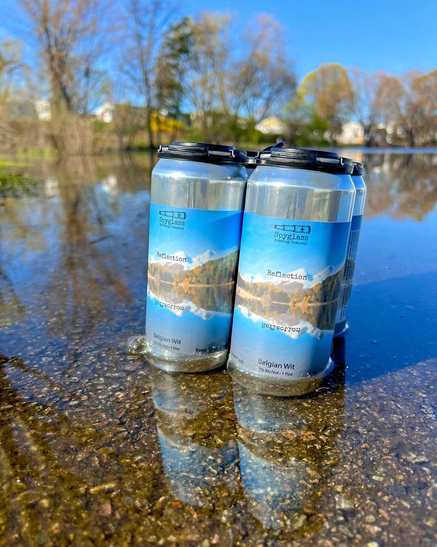 Reflect with some Reflection Belgian Wit

This is a refreshing 5% ABV Belgian Wit brewed with wheat malt, wheat flakes, coriander seeds, fresh orange zest and hopped with Saaz. This is the quintessential spring beer. 

Aroma of coriander and Belgian 