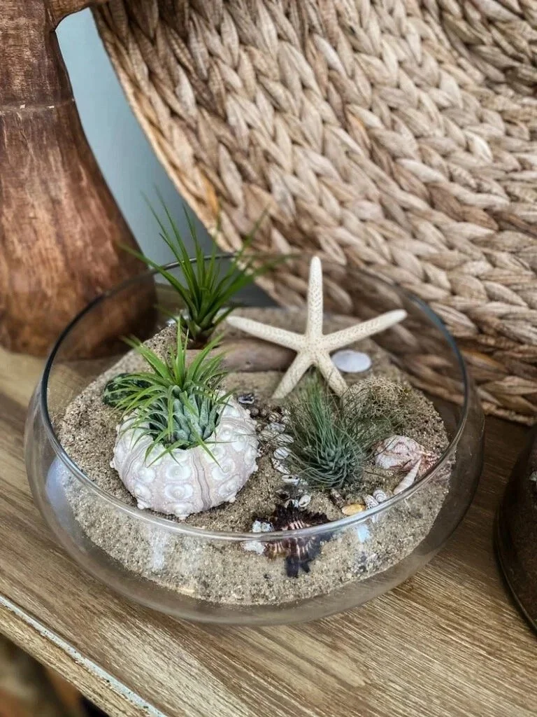 Ocean Air Plant Workshop with All Ways Arts