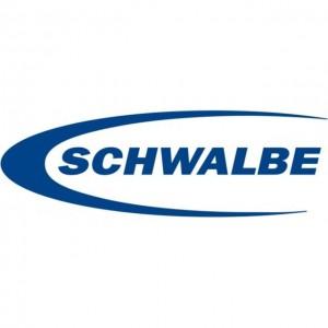 Schwalbe-300x300_large.jpeg