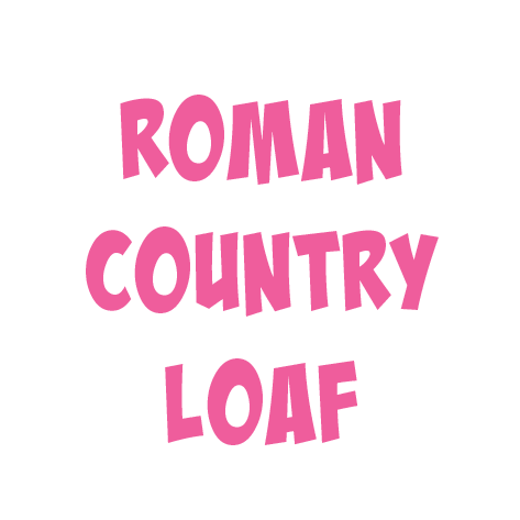 sixes website text_daily bakes multipack-17 copy.png