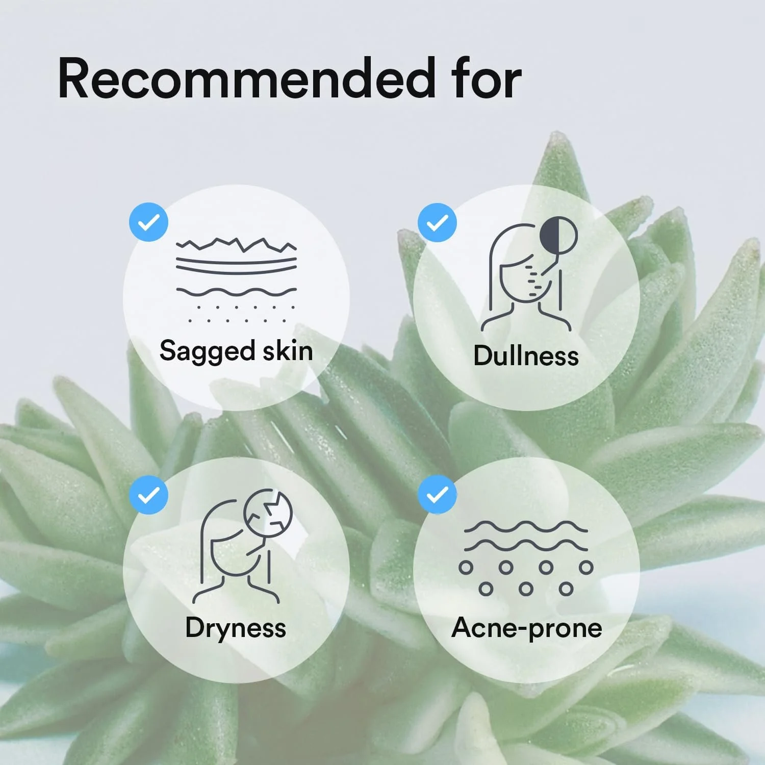 ABCGMKSJEL_Abib Collagen Gel Mask Sedum Jelly_Skin Concerns.jpg
