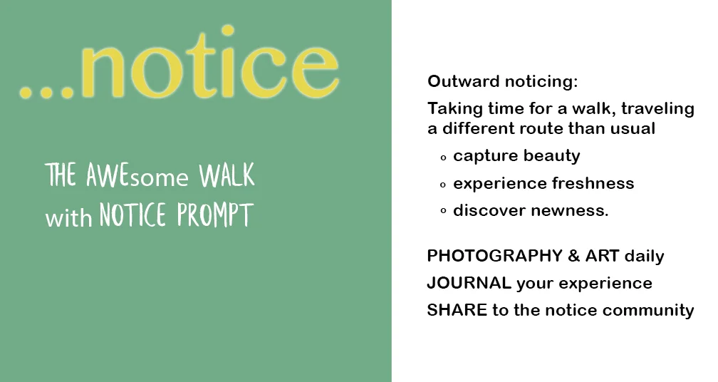 the awe walk.jpg