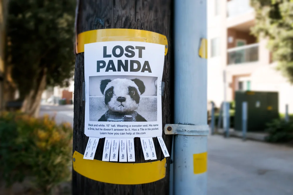 Lost Panda Poster 