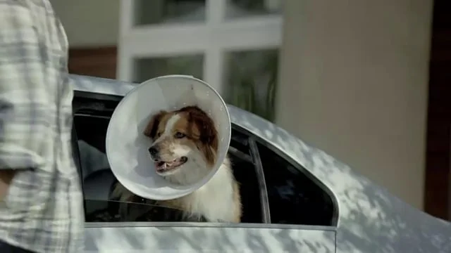 LAMPSHADE 15HD AGENCY 540p