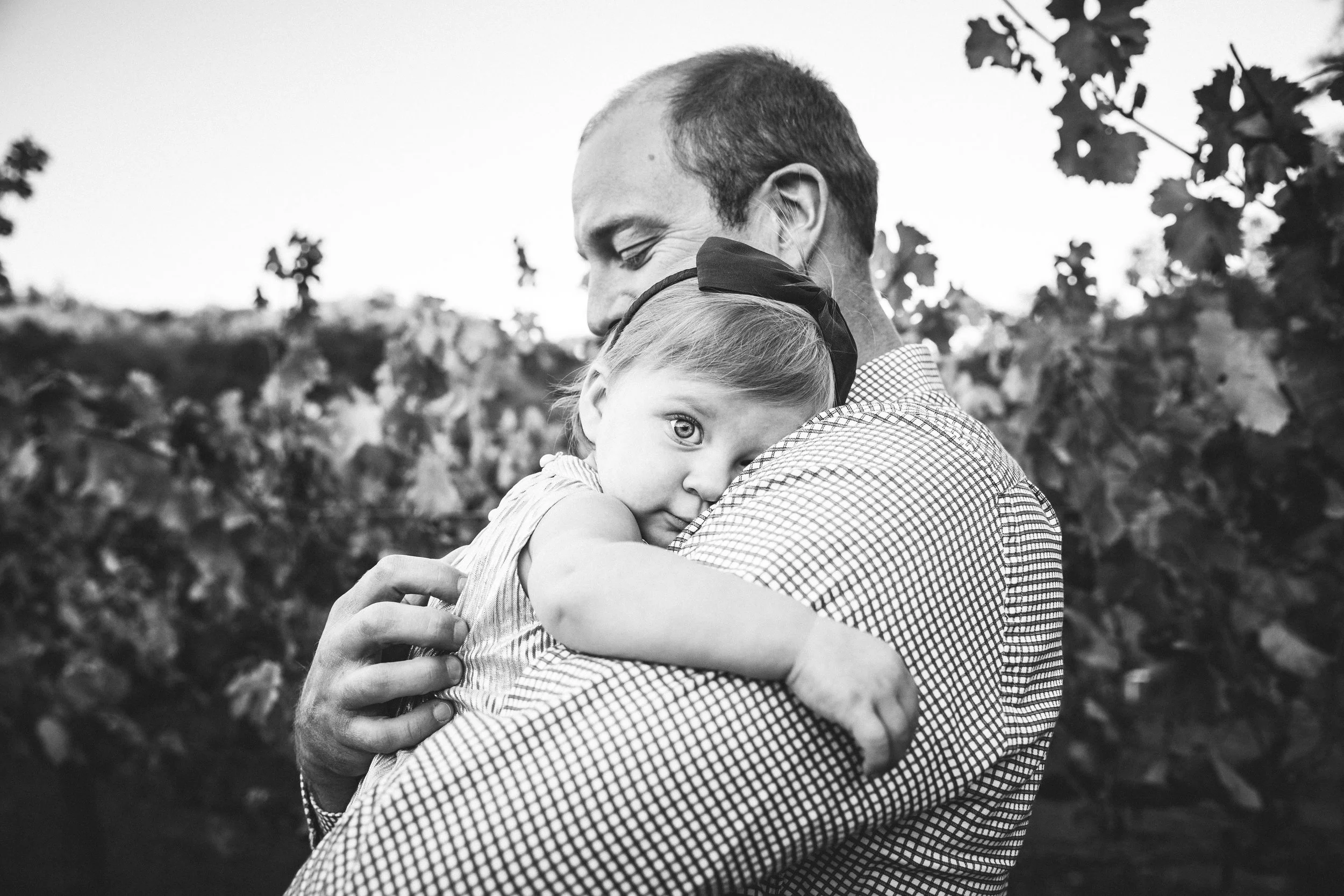A toddler girl in a boy is snuggled in her dad's arms in the middle of a vineyard. The image is in black and white.
