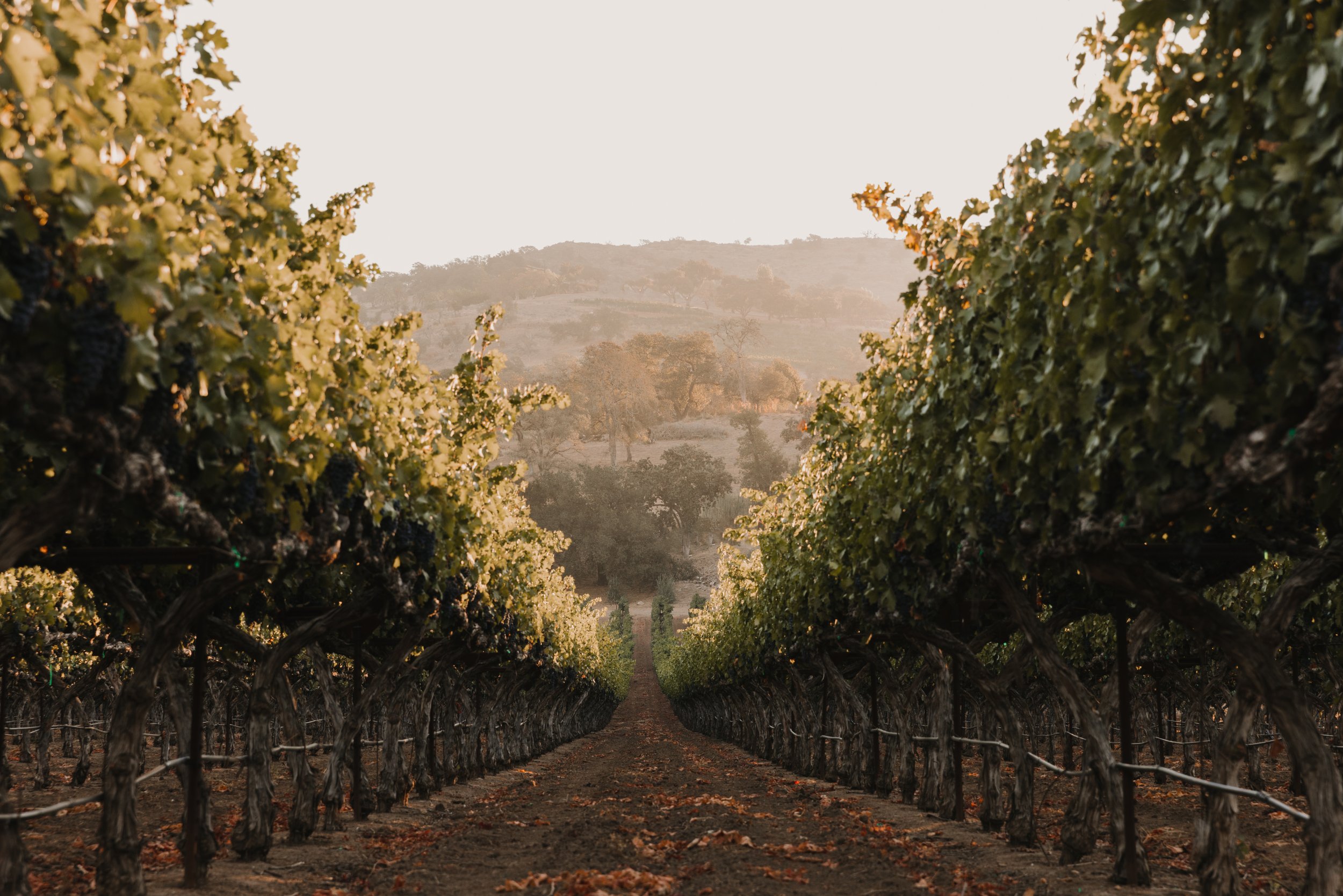 RIV-30.jpg