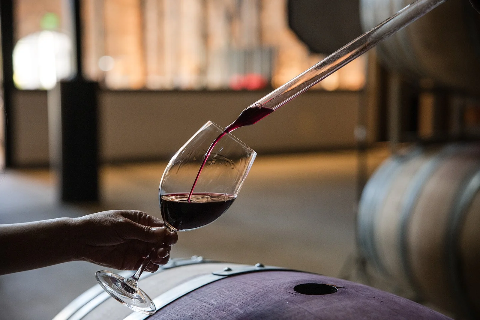 A wine thief is pulling red wine from a a barrel and is filling up a wine glass at a winery in Napa Valley.