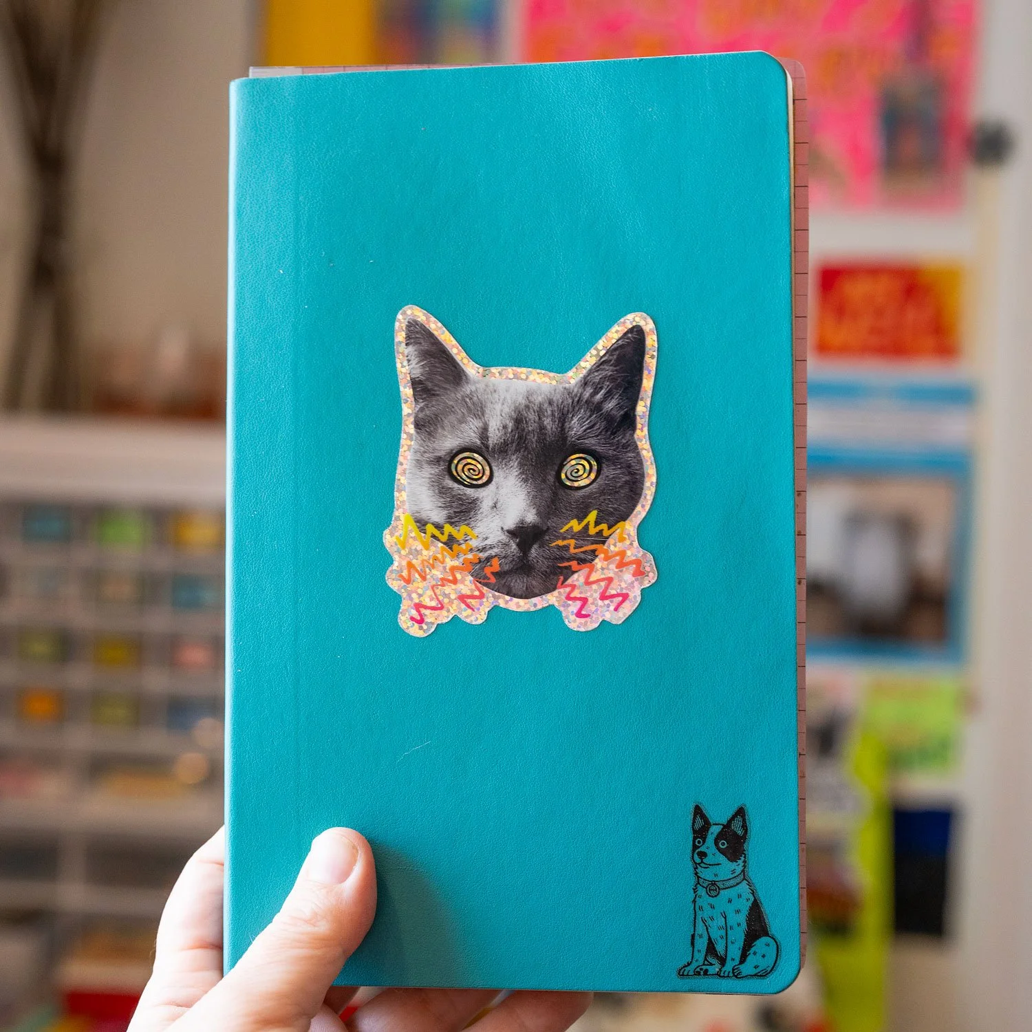 hypno-cat-3.jpg